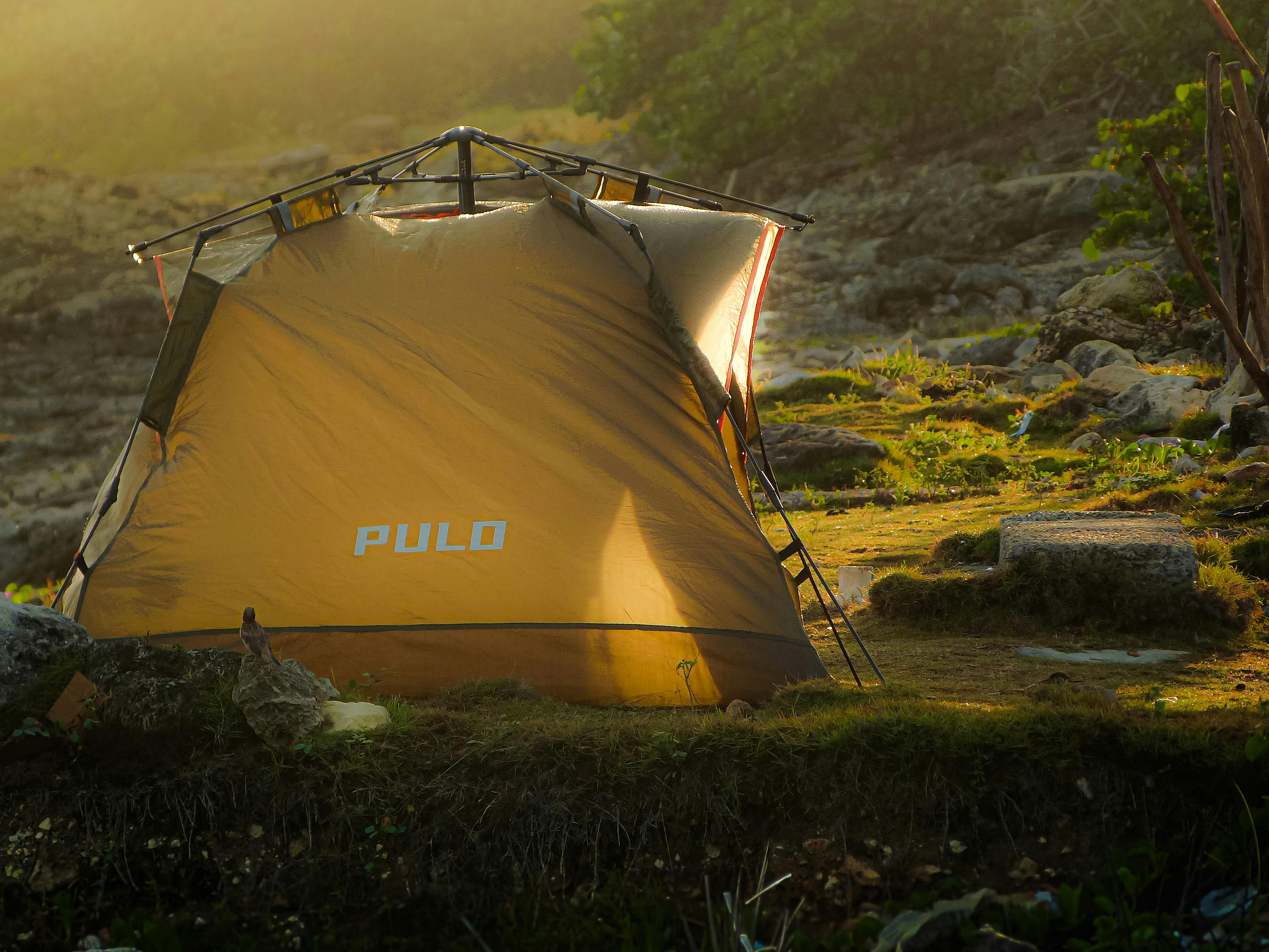 Camp Sites